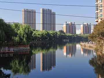 棒球俱乐部志愿者值班与轮换表最终版公布，棒球运动队